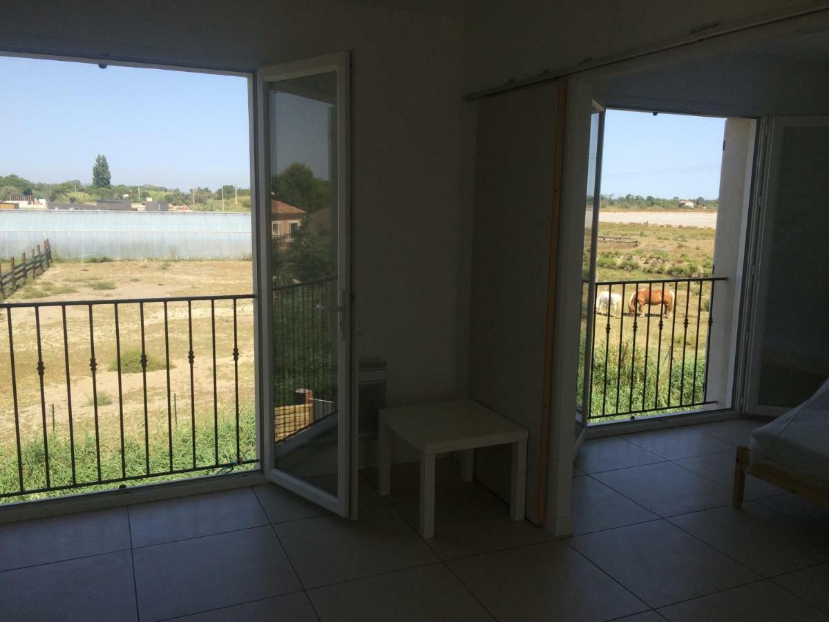 En Camargue Apartment ซาแลง-เดอ-ชิโรด์ ภายนอก รูปภาพ