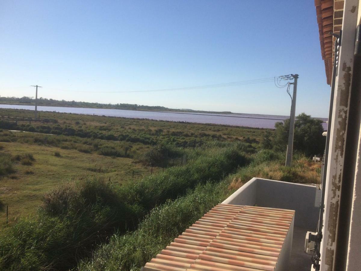 En Camargue Apartment ซาแลง-เดอ-ชิโรด์ ภายนอก รูปภาพ