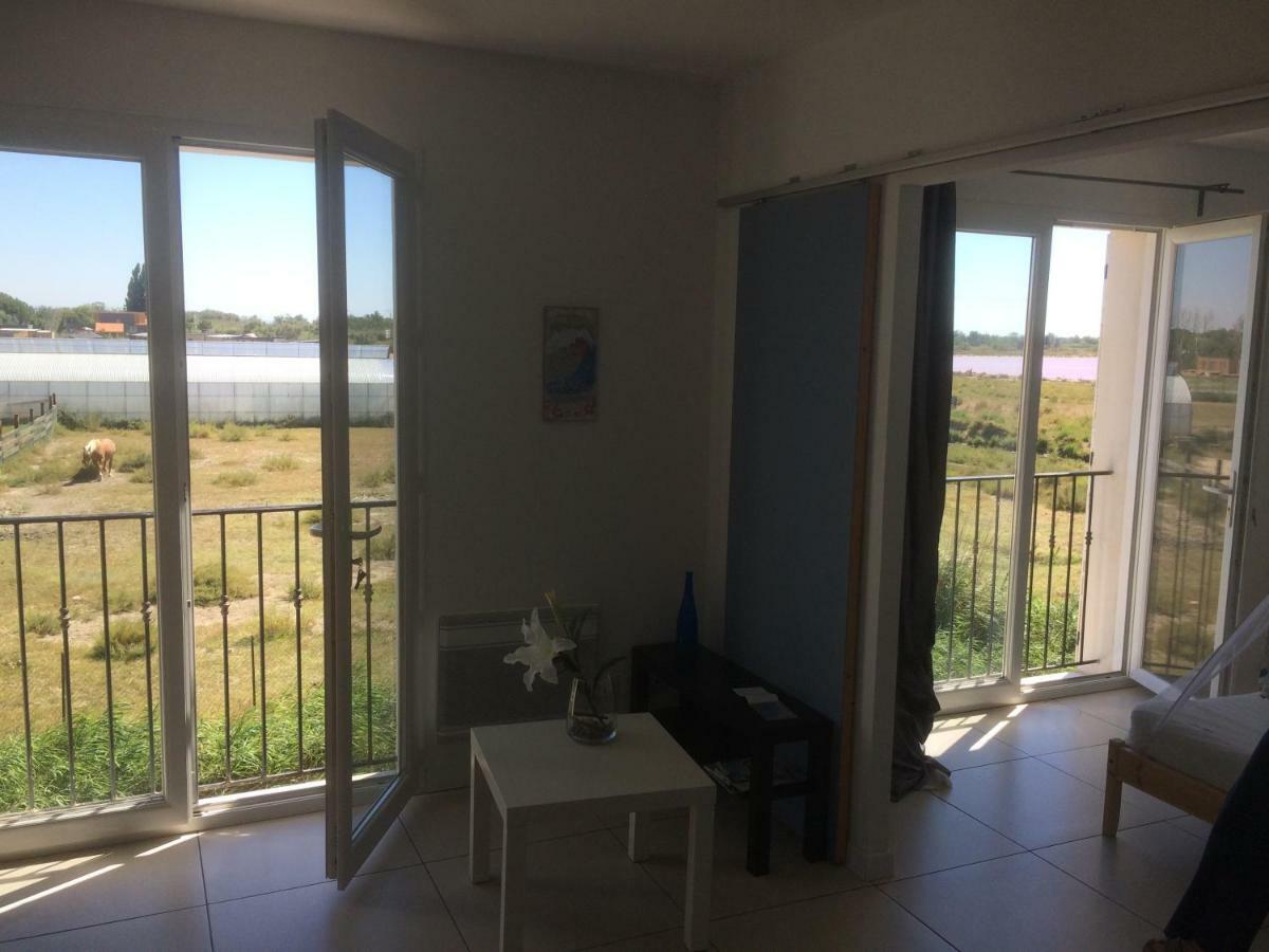 En Camargue Apartment ซาแลง-เดอ-ชิโรด์ ภายนอก รูปภาพ