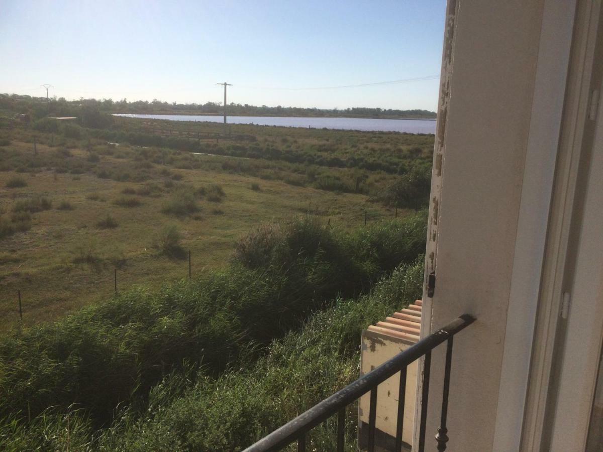 En Camargue Apartment ซาแลง-เดอ-ชิโรด์ ภายนอก รูปภาพ